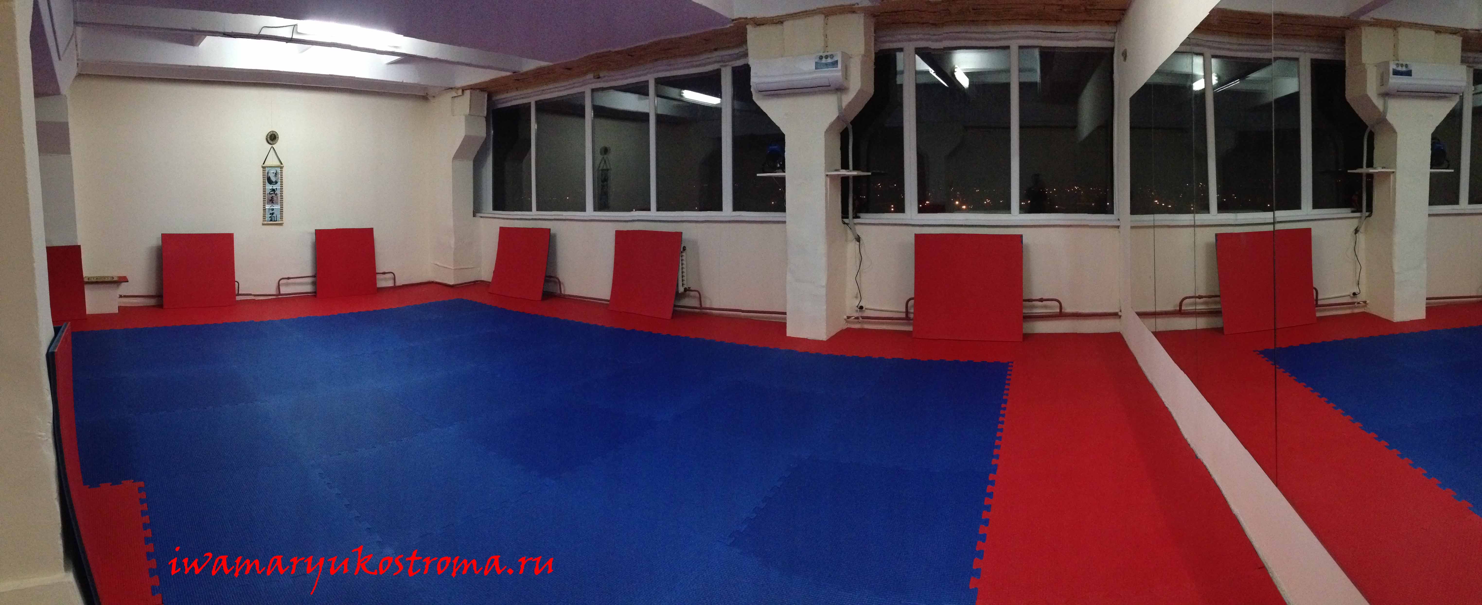 Dojo Kostroma IwamaRyu